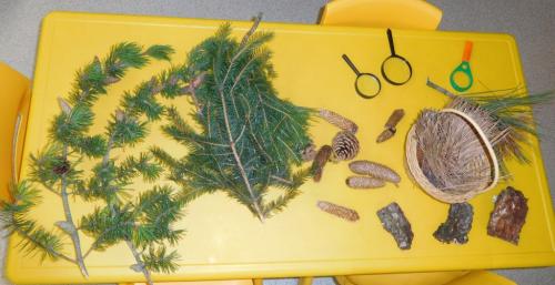 MŠ - houby, houbičky