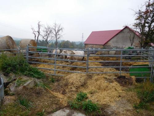 ZŠ - farma na Holyni
