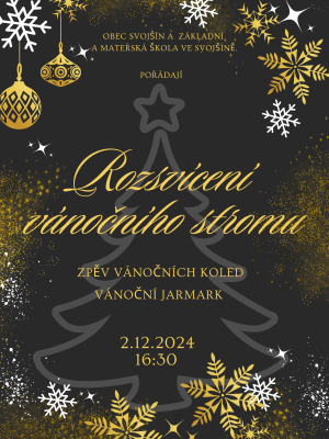 Rozsvícení vánočního stromu